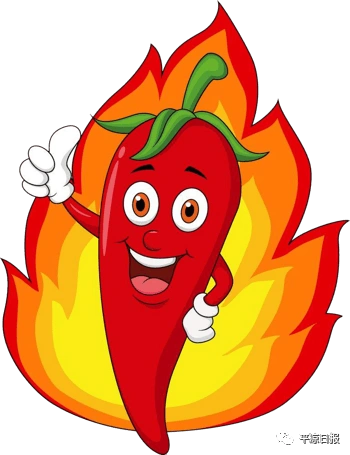 我们这十年丨小辣椒种出"红日子"——灵台县积极培育发展朝天椒产业