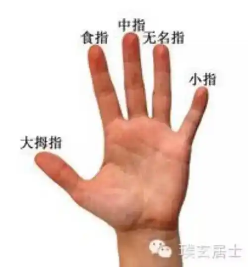 捏手指十秒钟看你有哪些病