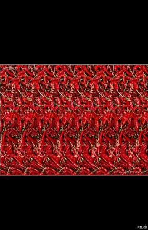 【图】你看过三维立体图?会看请给出答案?_北京论坛_汽车之家论坛