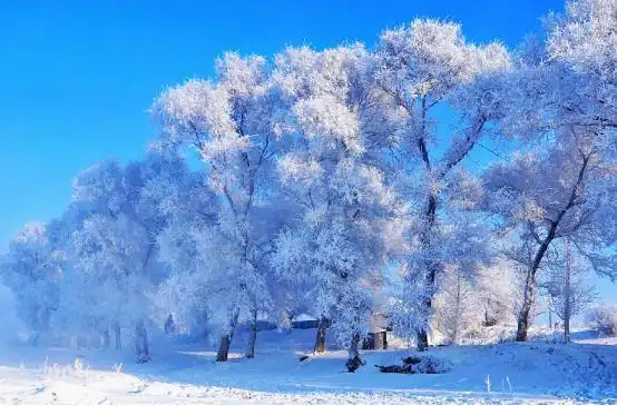 东北这些看雪圣地景色很美,不容错过的雪景,值得一去!
