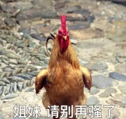 不说鸡,广东人可以坚持到第几句话?