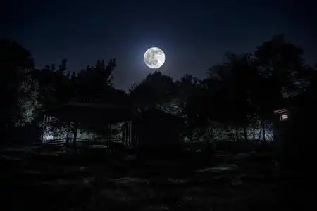 哥特式的窗口和月亮夜晚用月亮或老式乡村住宅在森林中建造的山夜景观