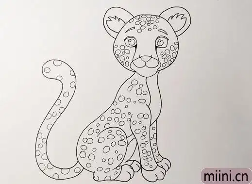 正在坐着的豹子简笔画步骤教程