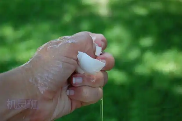 鸡蛋放在手掌为什么捏不碎的趣味小实验步骤图解