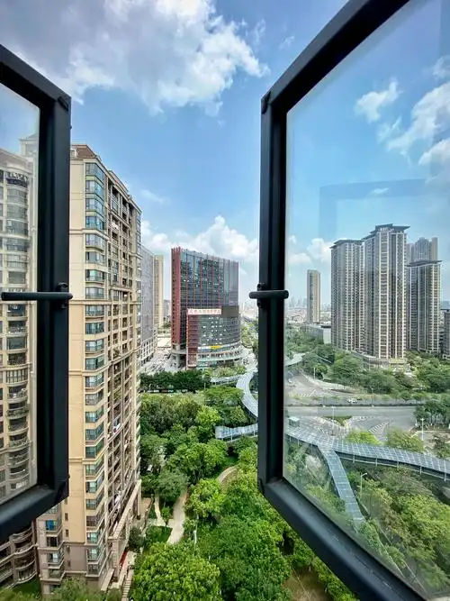 南方夏天的窗外