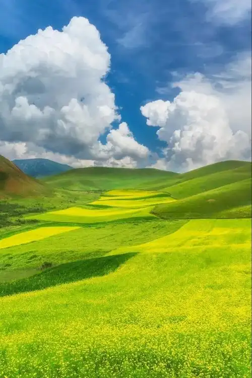 中国最美的9大草原一辆车三五好友去实现你的草原梦吧