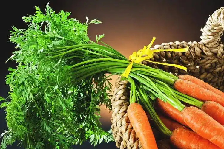 医生提醒:春季养胃,远离这些伤胃食物_胃部_疾病_损伤