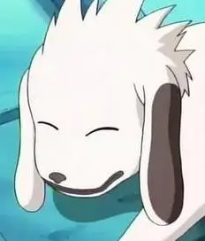 赤丸简介_头像图片-《火影忍者》人物 - 白鸟acg