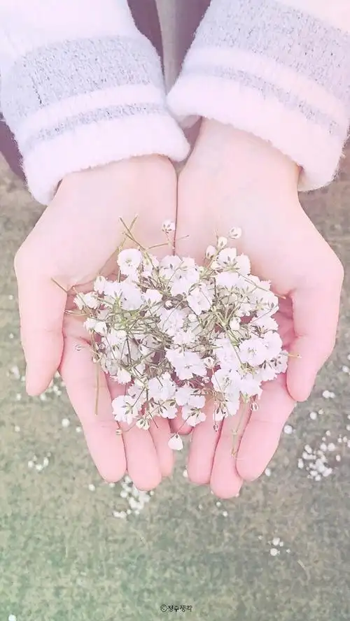 小仙女专属的粉粉聊天背景图少女心粉色系聊天背景壁纸