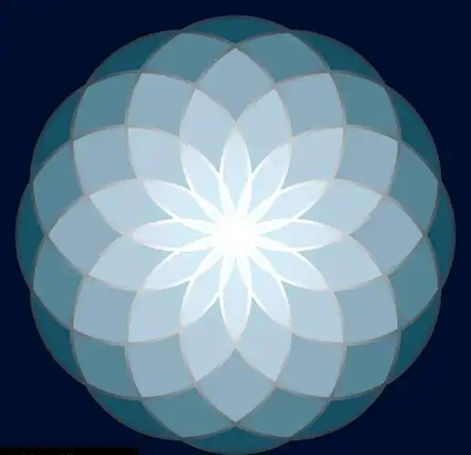 生命之花的秘密:神圣几何