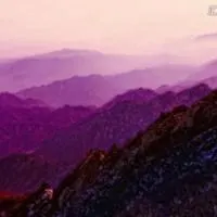 形容紫气东来的头像图片_微信头像图片大全