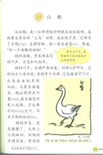 15【课文赏析】《白鹅》:谈谈结构和详略(丰子恺)
