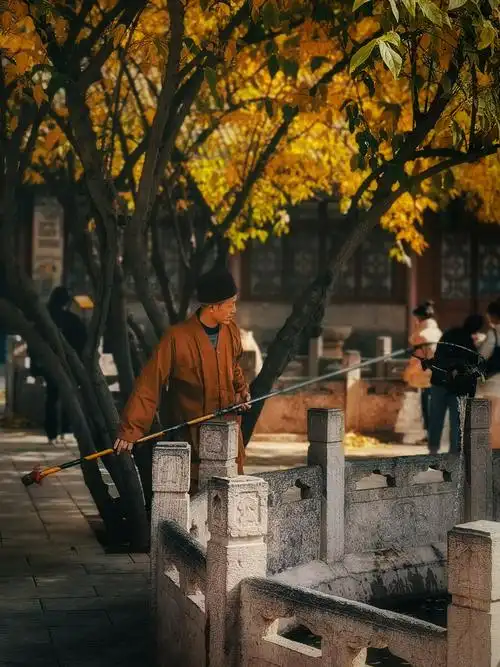 西安大兴善寺的僧人在清理池中落叶