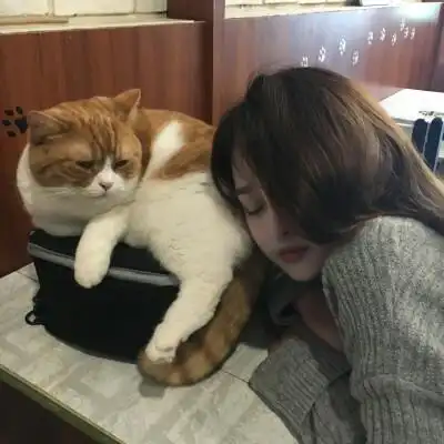 姐妹头像 系列头像 小清新头像 文艺头像 韩系头像 日系头像 森系头像