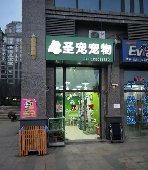 千店故事很累但是心里好甜圣宠宠物临汾恒大华府店