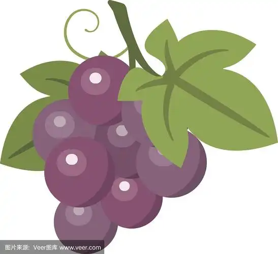 插图的葡萄