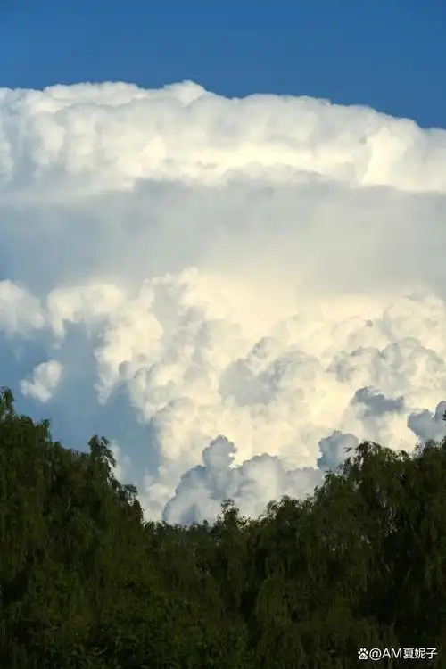 今天的云彩   真是漂亮迷糊了!
