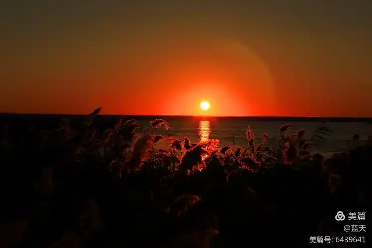 其它 留住美好瞬间——居延海边看日出 写美篇拍摄:蓝天(李建军陕州区
