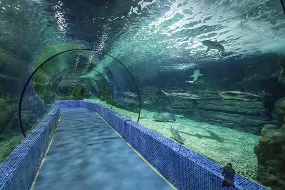 忻湖路交叉口海洋城3楼 交通参考:可乘坐公交长兴4路到"龙山新村"下车