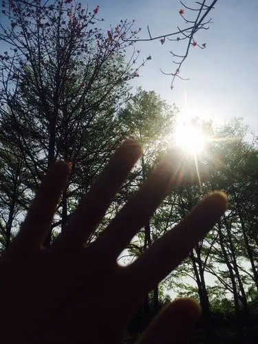 阳光 指尖 温暖