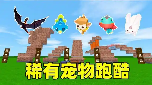 迷你世界:终点有稀有宠物!七彩雀最好看,召唤黑龙崽需要三段跳