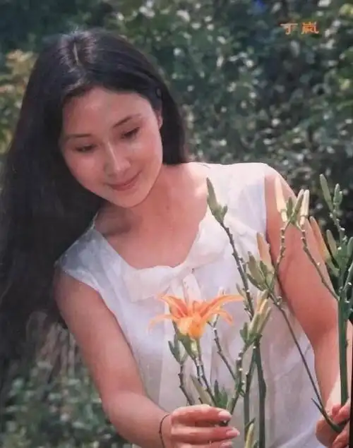 少林寺主演丁岚两婚两离命运多舛如今60岁容颜可改变