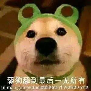 只想做你一个人的舔狗