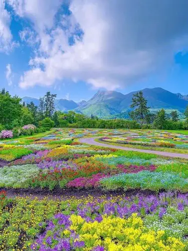 日本久住町百花公园,这么美简直成了爱丽丝的仙境!