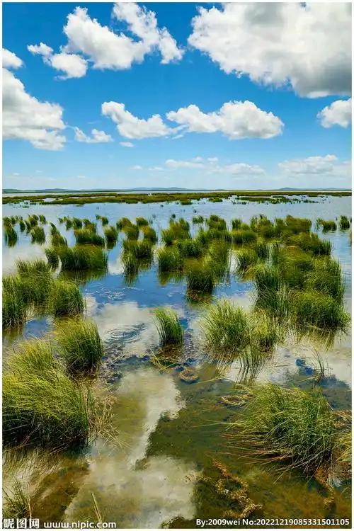四川若尔盖湿地