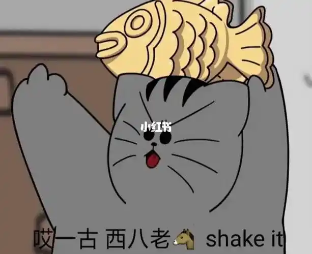 呀e西八老码铛铛猫好贱呀我好爱