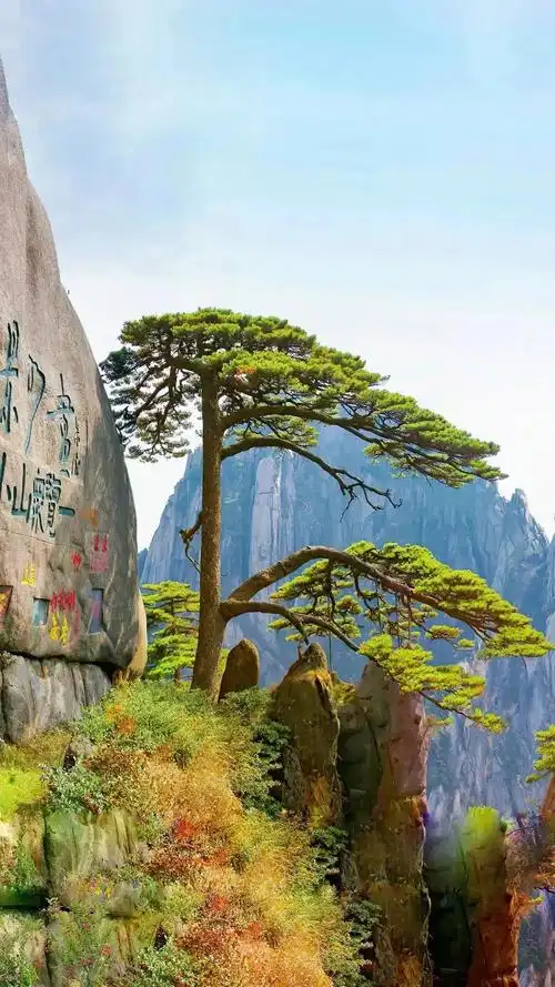 最受欢迎的中国十五大名山排名:1,安徽黄山2,江西三清山3,湖北