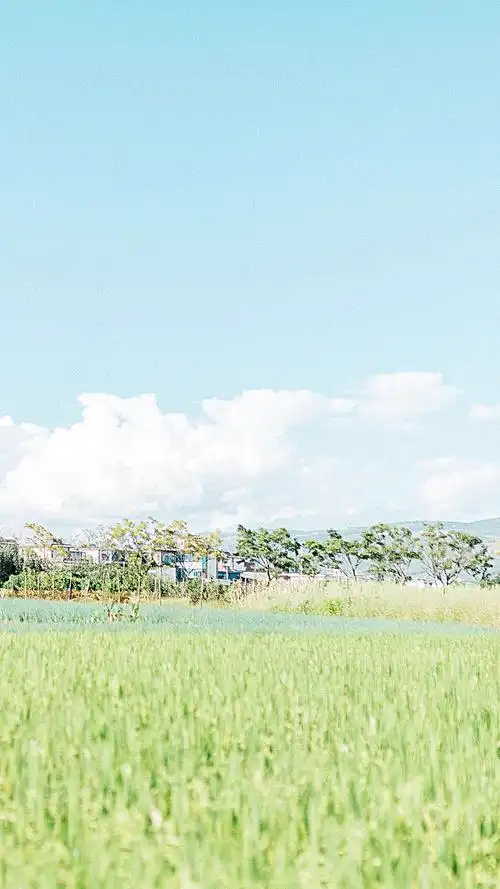 日系清新风景高清唯美手机壁纸图片