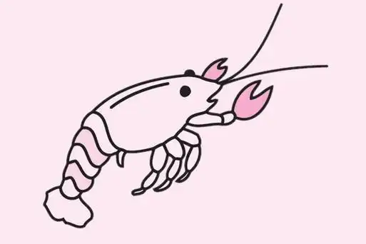 虾的简笔画的画法步骤教程及图片大全