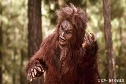 传说中的神农架,是否有野人出没?曾有人亲眼看到它们出现!