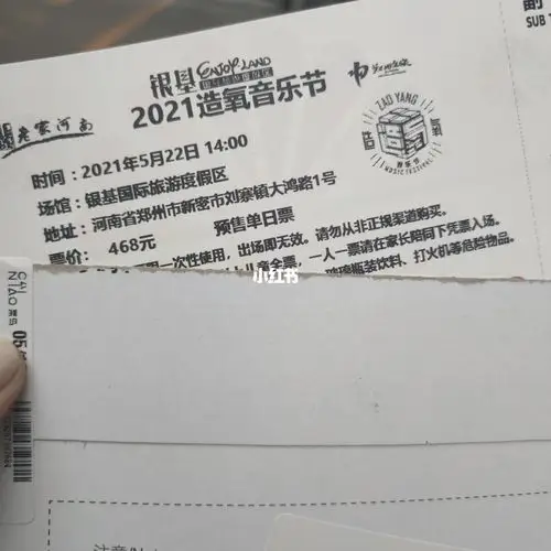 音乐节_郑州_郑州造氧音乐节_生活记录_日常片段_日常片段其他