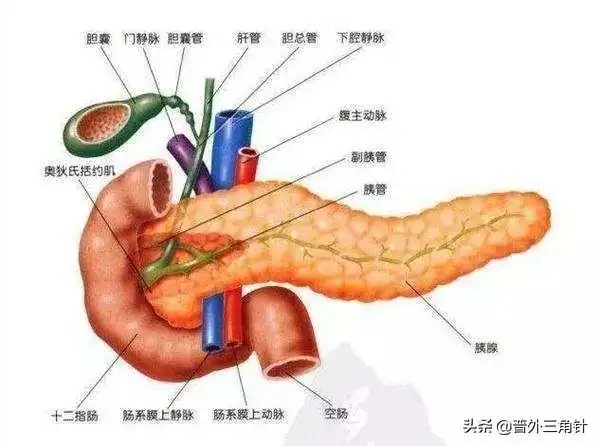 头条问答 - 肝功能异常会引起胰腺炎吗?(1个回答)