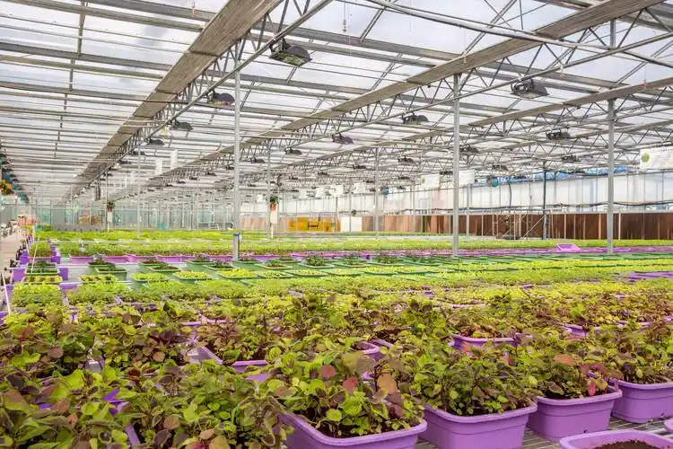 温室大棚的各种分类