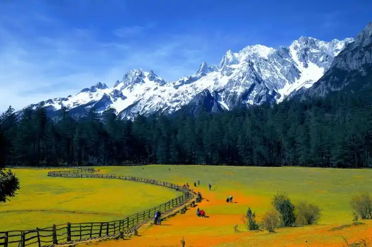 玉龙雪山小索道 云杉坪 蓝月谷一日游