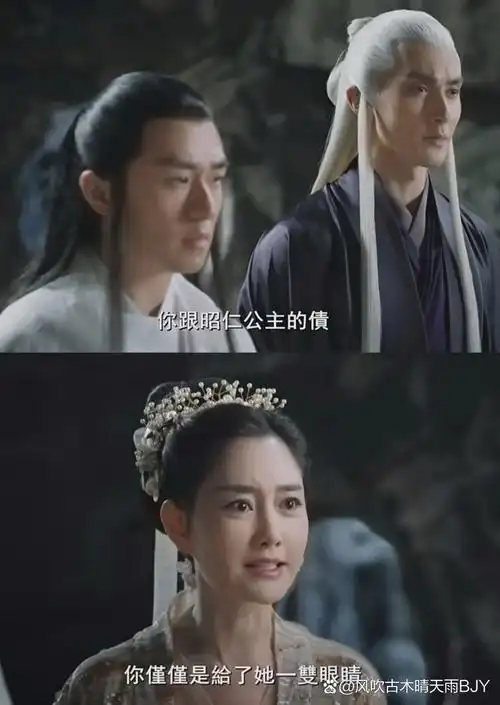 我不太理解白浅真的,不说她遭了多少罪了,她和夜华在一起是因为她的