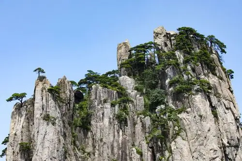 黄山的奇松怪石