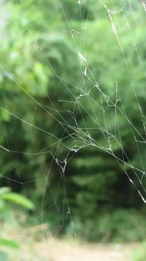 iphone碎屏壁纸高清无水印 30张以假乱真碎屏锁屏壁纸大全__财经头条