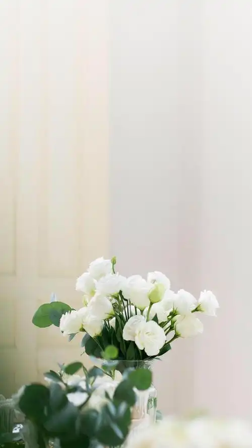 韩系清新家居手机壁纸图片-风格-手机壁纸下载-美桌网