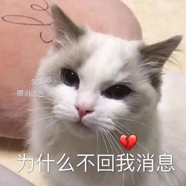 斗图表情包|你懂我意思