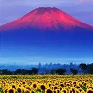 女士招财起运微信风景头像点击鼠标右键下载