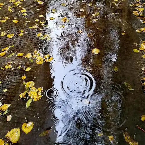 形容秋季的雨声的词语有:滴滴答答,连绵不绝,雨滴梧桐等.