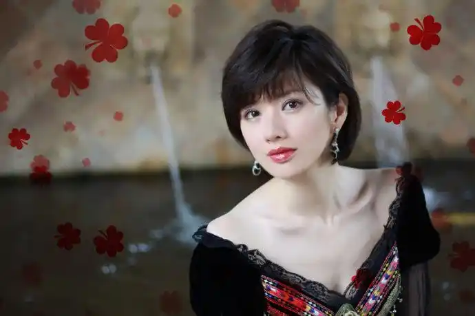 "燕双鹰"二号猎鹰