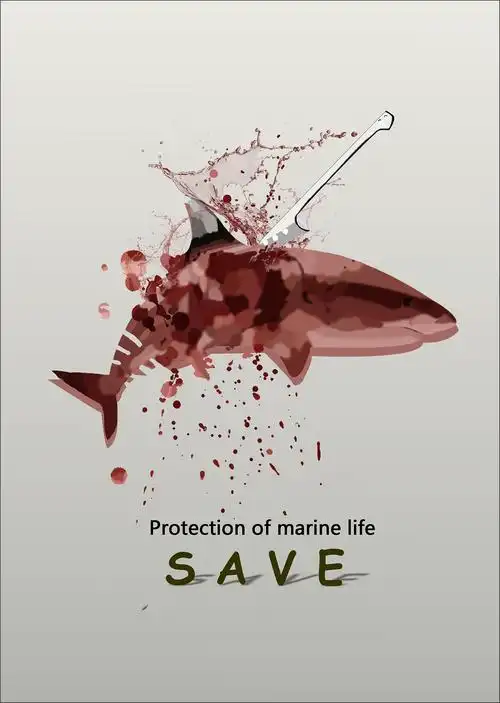 保护海洋生物|平面|海报|vvwdw - 原创作品 - 站酷 (zcool)