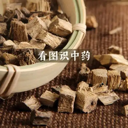 看图识中药每天学习一味中药