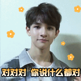 对对对 你说什么都对 - 一波金samuel动态表情包_金samuel_明星表情