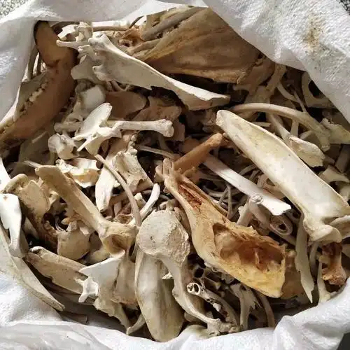 正宗 煅狗骨头 炙骨狗退骨 500克 250 生狗骨头粉【图片 价格 品牌